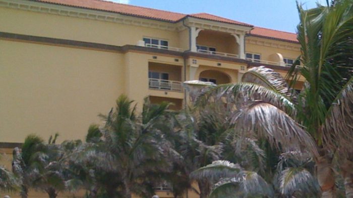 Pohon palem di sekitar gedung bangunan