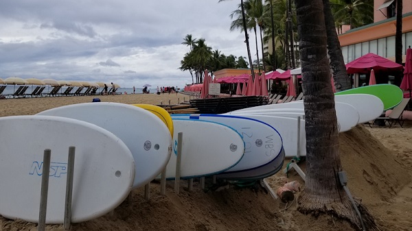 Surf Boards diparkir di pinggir pantai