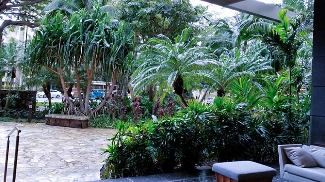 Palm trees and other plants at the outdoor lobby