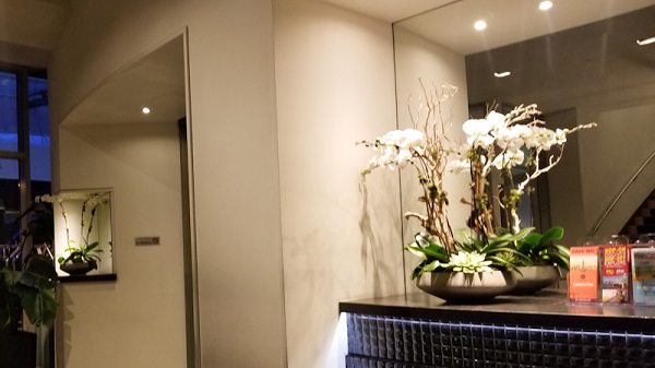 White Orchid flowers on the lobby Maxwell hotel New York City