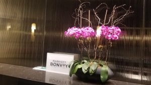 The newly renovated Le Meridien Hotel New York City